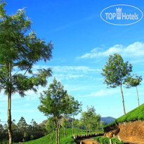 Grand Plaza Munnar