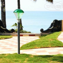 Black Beach Resort