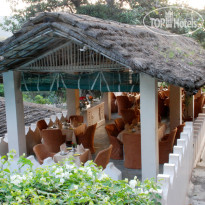 The Aodhi