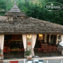 The Aodhi
