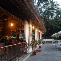 The Aodhi
