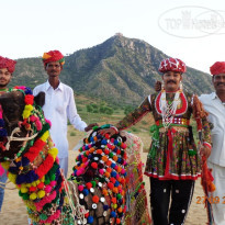 Pushkar Desert Camps Resort