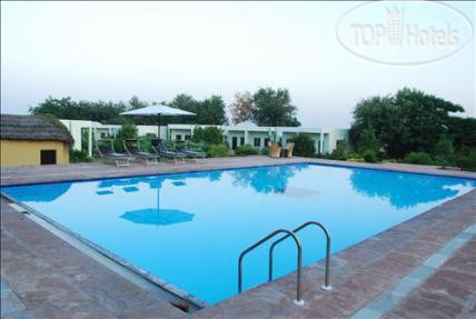 New photos from tourists The Pugmark 3*