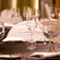 Gokulam Grand Hotel & Spa 