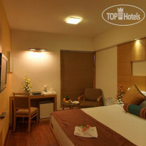 Coraltree by Goldfinch 