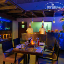 Coraltree by Goldfinch 