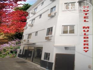 Hotel photo Mulberry Hotel 2*