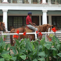 Jehan Numa Palace