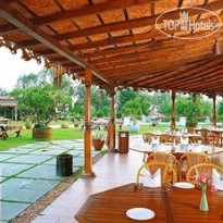 Chariot Beach Resort