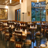 Solang Valley Resort 