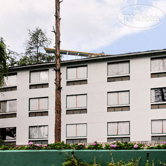 Hotel photo Honeymoon Inn Hotel 4*