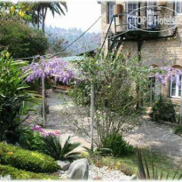 Himalayan Hotel 