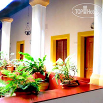 Granpa's Inn Hotel Bougainvillea
