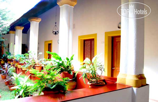 Hotel photo Granpa's Inn Hotel Bougainvillea 1*
