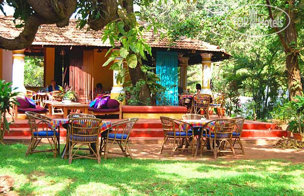 New photos from tourists Granpa's Inn Hotel Bougainvillea 1*