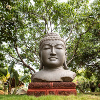 Mercure Goa Devaaya Retreat
