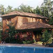 Pausada De Tauma