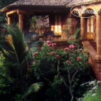 Pausada De Tauma