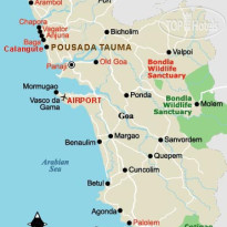 Pausada De Tauma