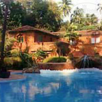 Pausada De Tauma