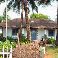 Pausada De Tauma