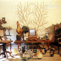Pausada De Tauma