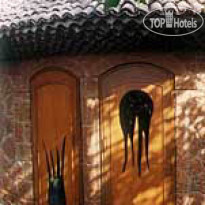 Pausada De Tauma