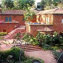 Pausada De Tauma