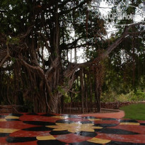 Nirvana Hermitage
