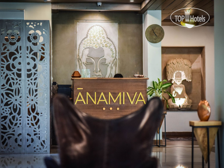 Hotelier's photos AM Hotel Kollection Anamiva 4*
