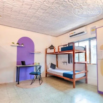 Locomo Botique, Morjim 