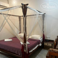 Maior Roma by Jolly Jolly Lester 