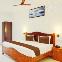 Home & Beyond By Myroom 