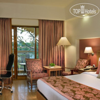 Acron Candolim Regina