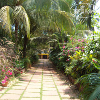 Casa Aleixo 