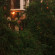 Cavala The Sea Side Resort 