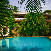 Papa Jolly's pool