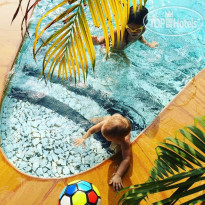 Papa Jolly's pool