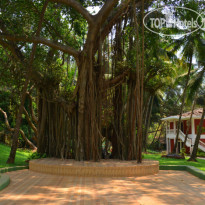 Bambolim Beach Resort