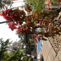 Ondas Do Mar Beach Resort 