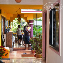 Yellow House Vagator Goa