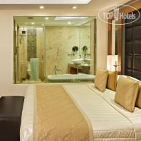 Radisson Blu Plaza Hotel, Delhi Airport
