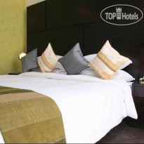 Dolphinn Grand