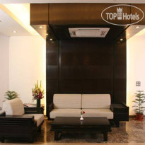 Dolphinn Grand
