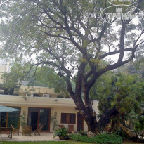 Lutyens Bungalow