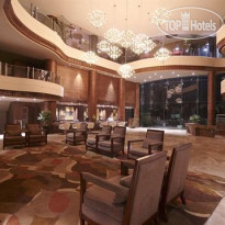 Vesta International