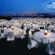 The Westin Mumbai Powai Lake 
