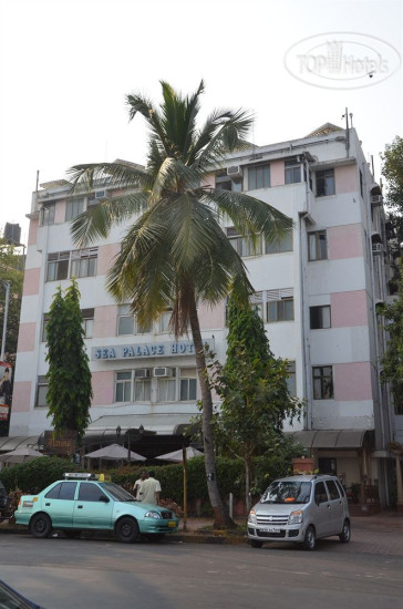 Hotelier's photos Sea Palace Hotel 3*