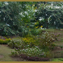 Blue Valley Jungle Resorts 