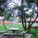 Kodai International 